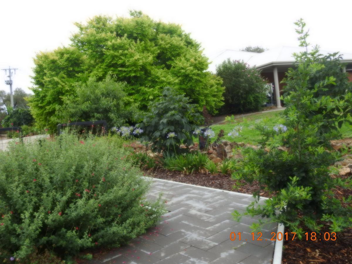 Barklysuites Apartments Rutherglen Buitenkant foto